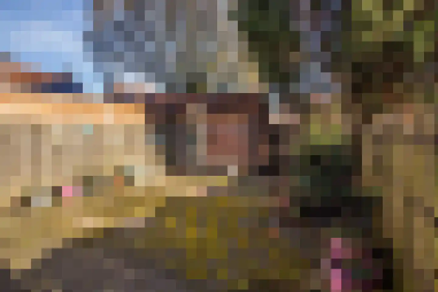 Zwanebloemlaan 55 Arnhem thumbnail 26