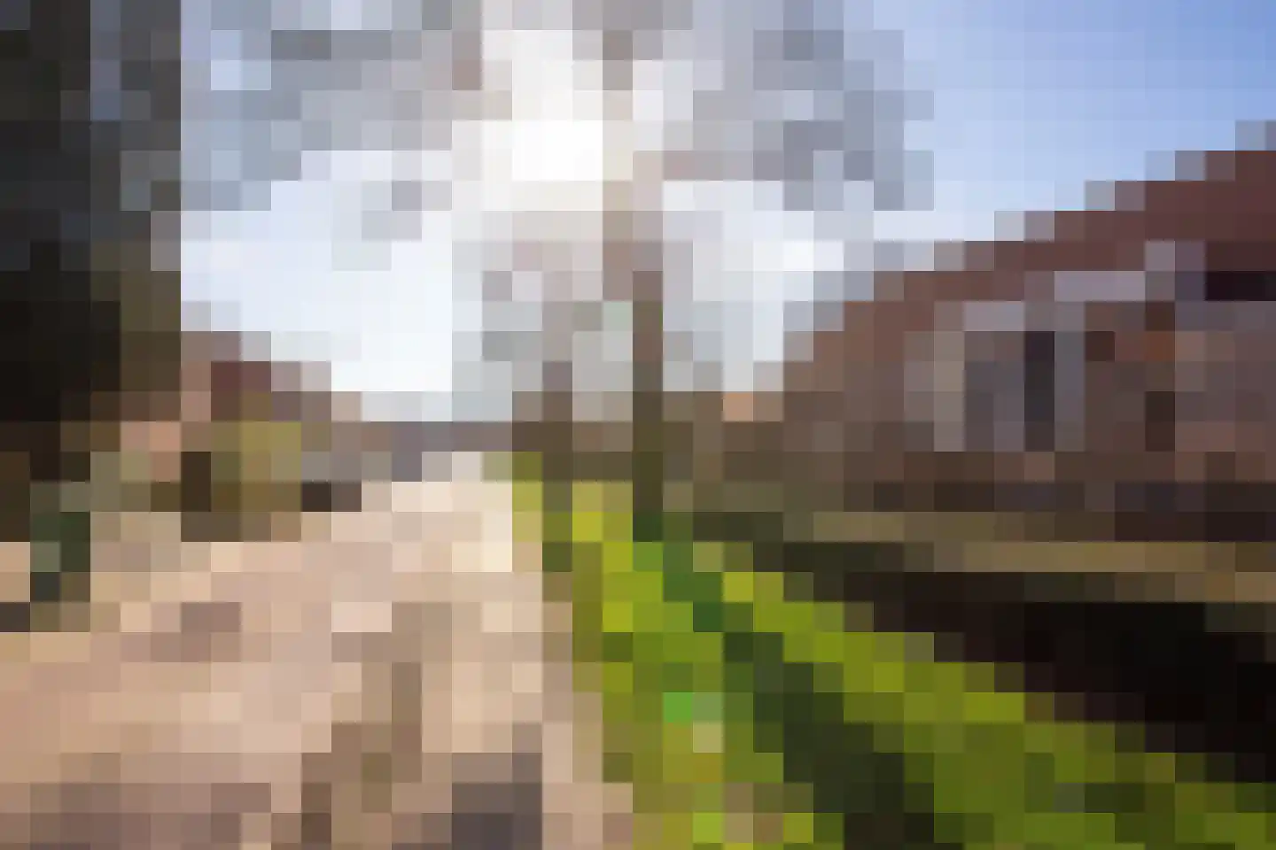 Zwanebloemlaan 55 Arnhem thumbnail 27