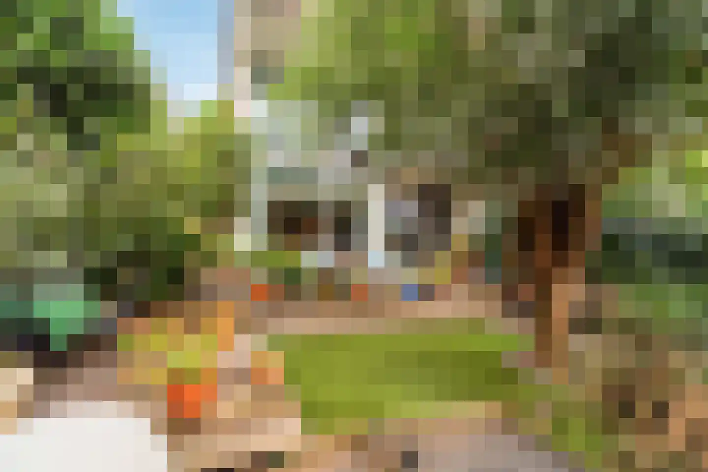 Zwanebloemlaan 87 Amsterdam thumbnail 10