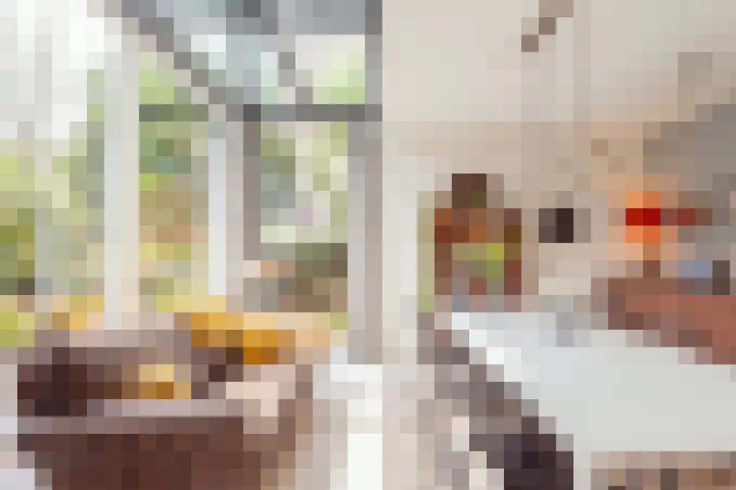 Zwanebloemlaan 87 Amsterdam thumbnail 14