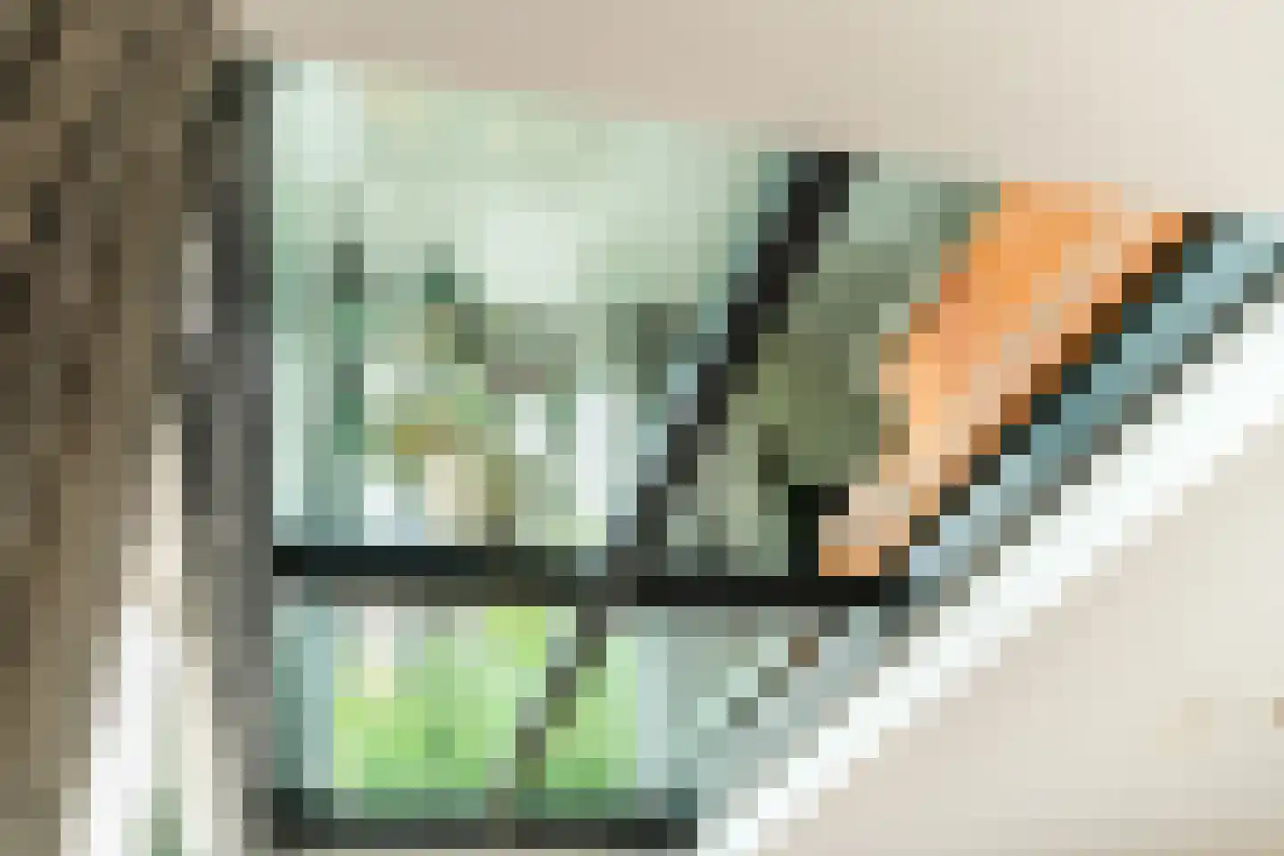 Zwanebloemlaan 87 Amsterdam thumbnail 15