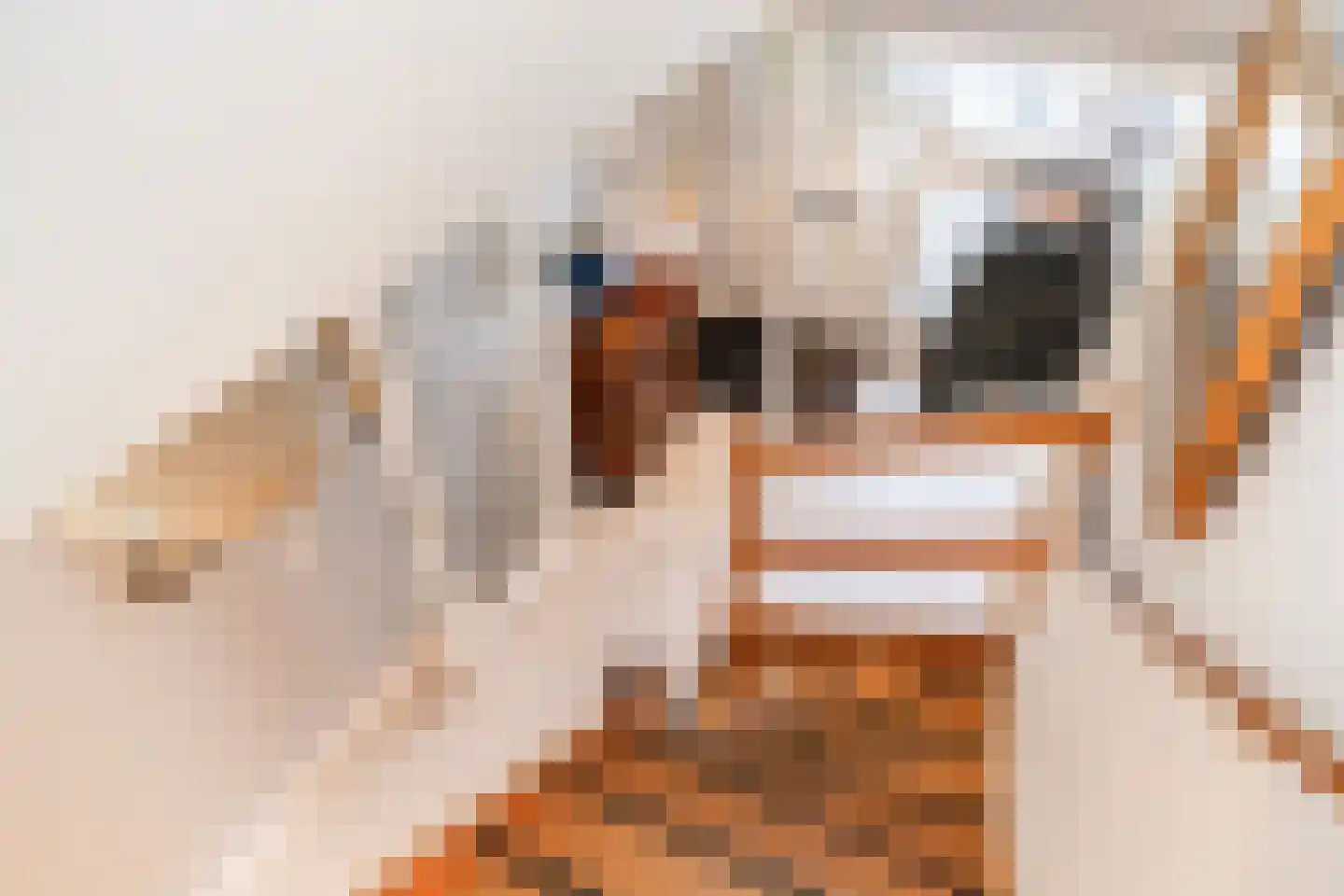 Zwanebloemlaan 87 Amsterdam thumbnail 17