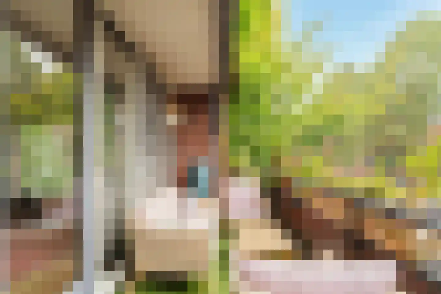 Zwanebloemlaan 87 Amsterdam thumbnail 21