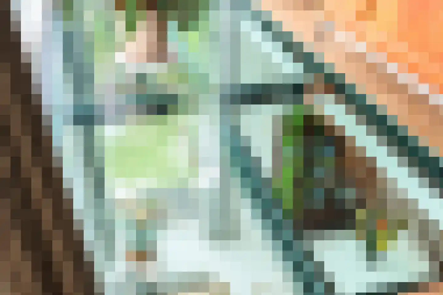 Zwanebloemlaan 87 Amsterdam thumbnail 25
