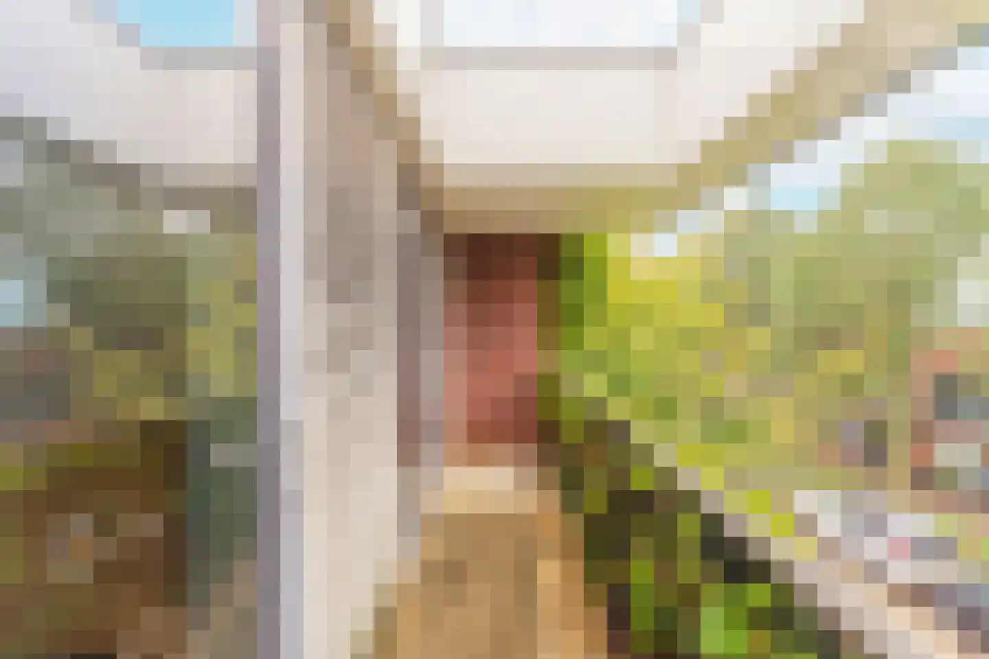 Zwanebloemlaan 87 Amsterdam thumbnail 34