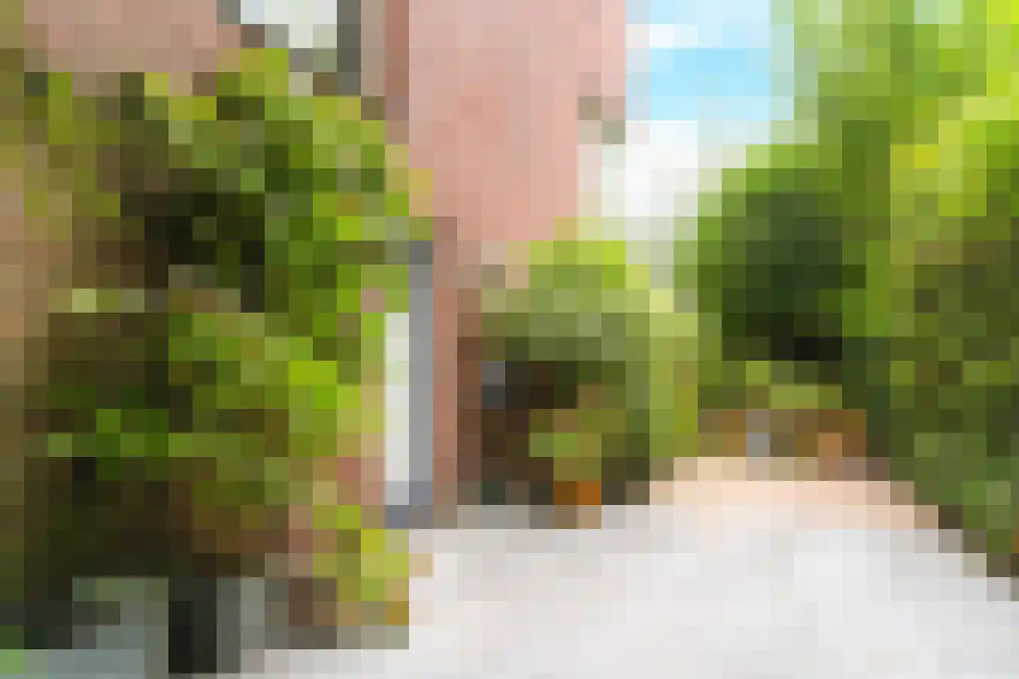 Zwanebloemlaan 87 Amsterdam thumbnail 41