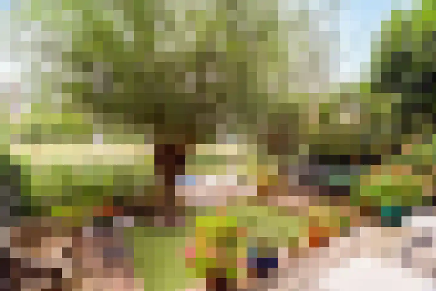 Zwanebloemlaan 87 Amsterdam thumbnail 5