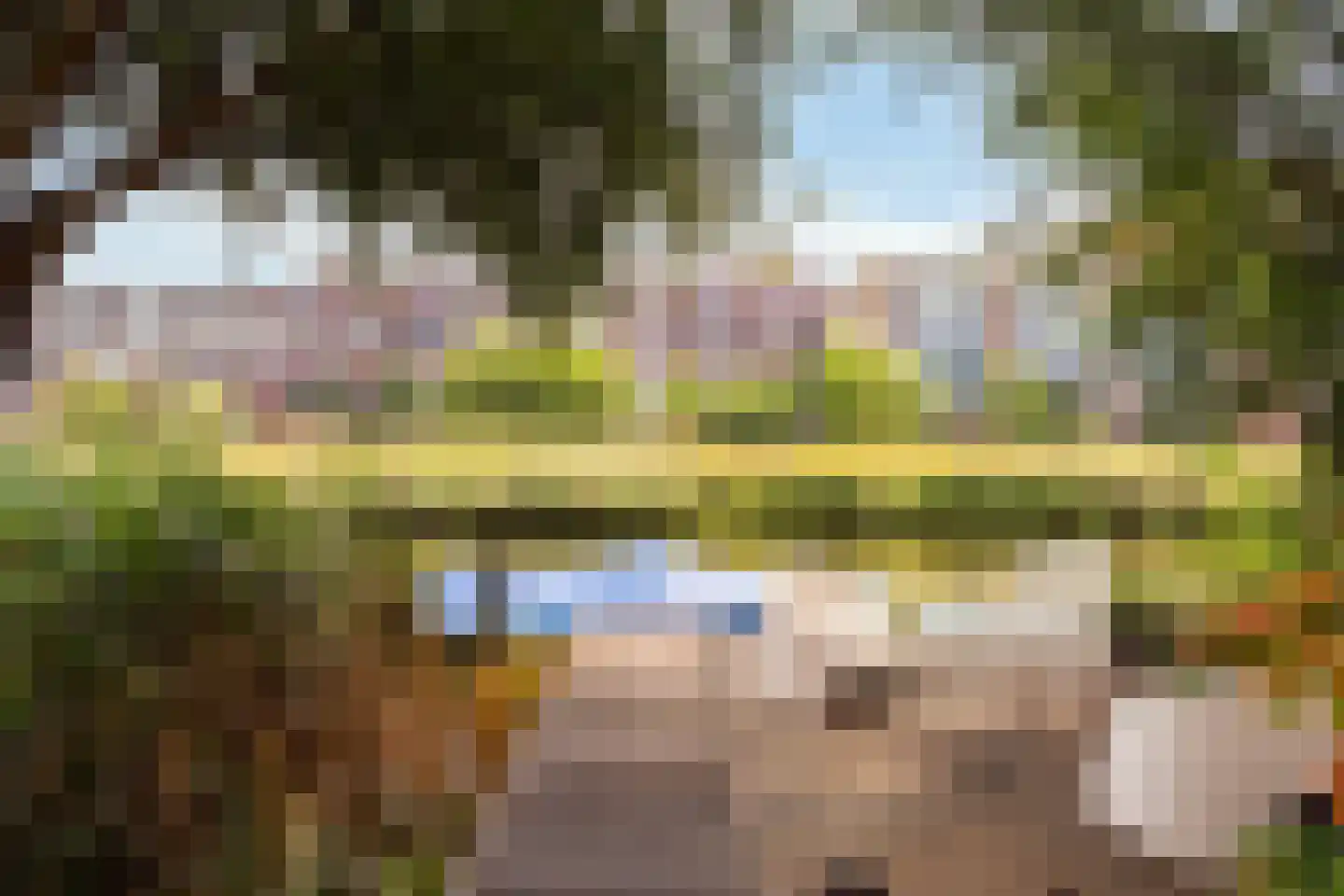 Zwanebloemlaan 87 Amsterdam thumbnail 6