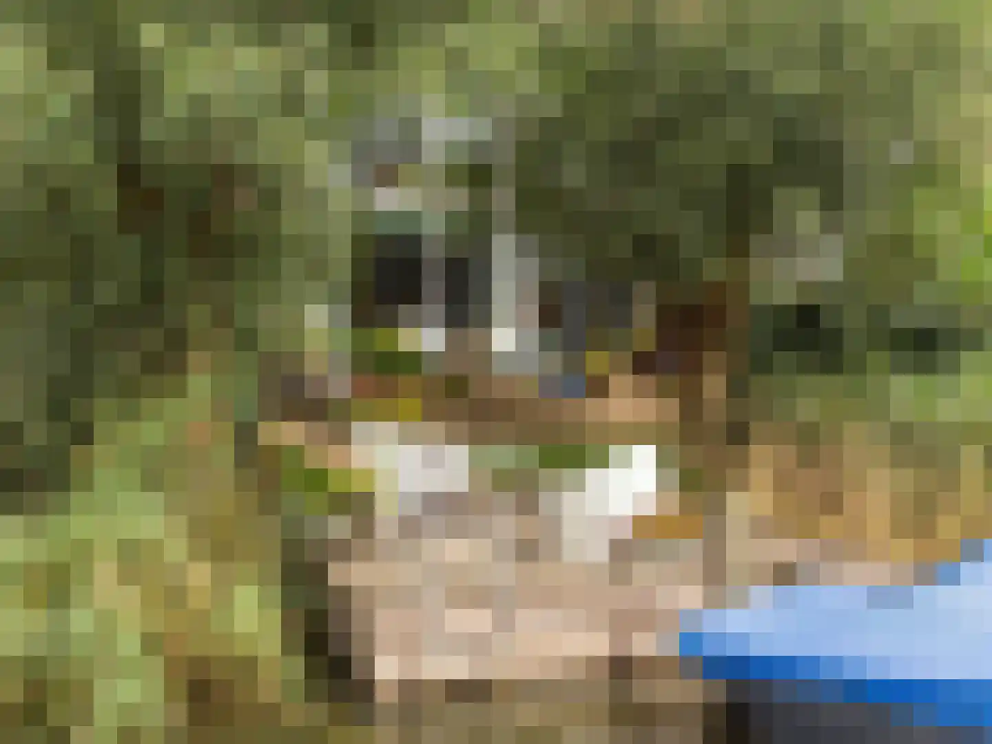 Zwanebloemlaan 87 Amsterdam thumbnail 7
