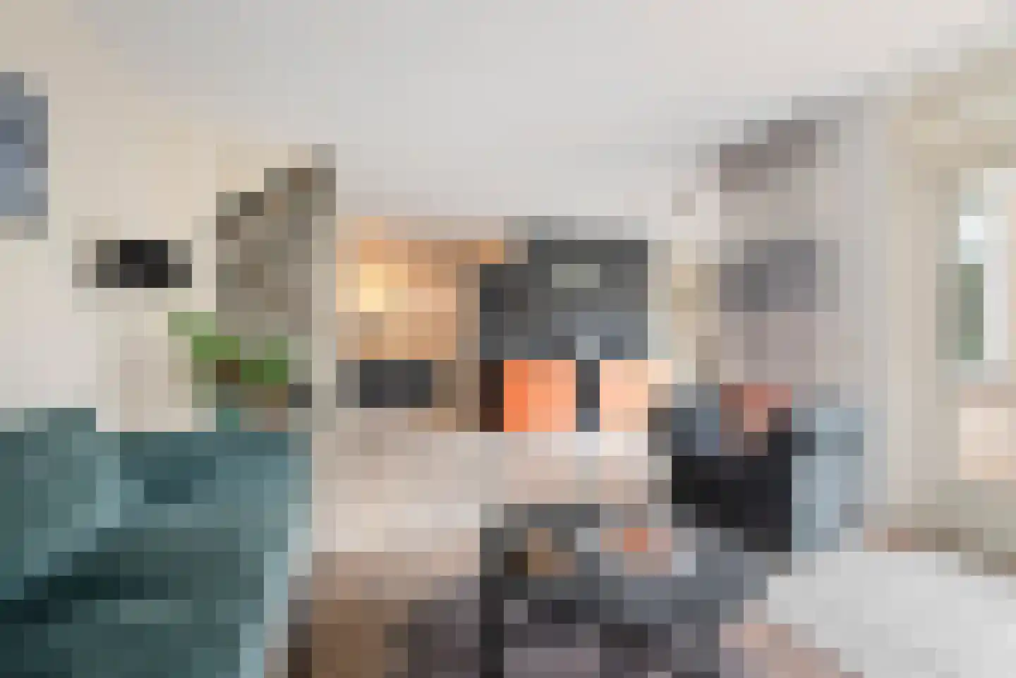 Zwanebloemplantsoen 24 Velserbroek thumbnail 16