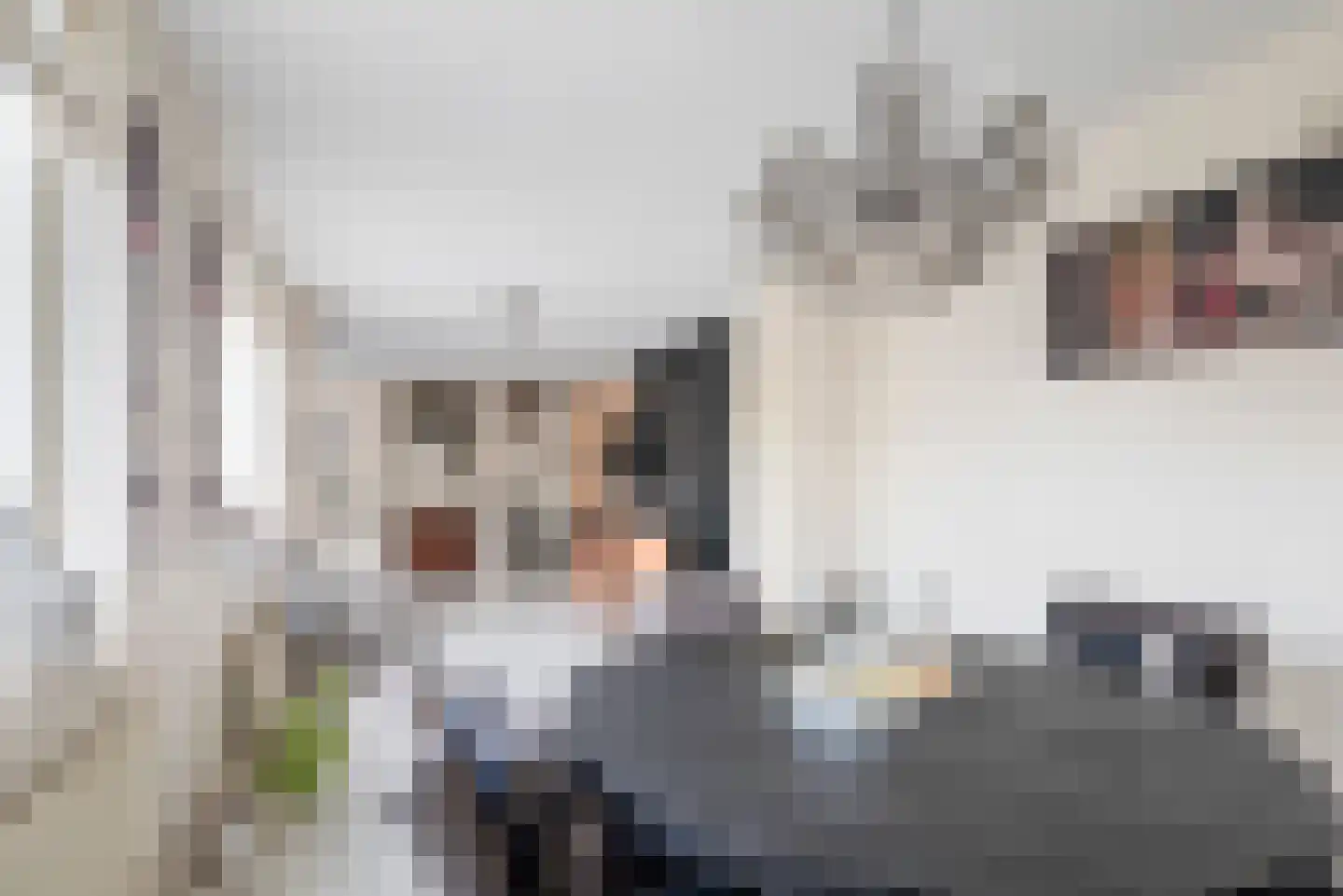Zwanebloemplantsoen 24 Velserbroek thumbnail 25