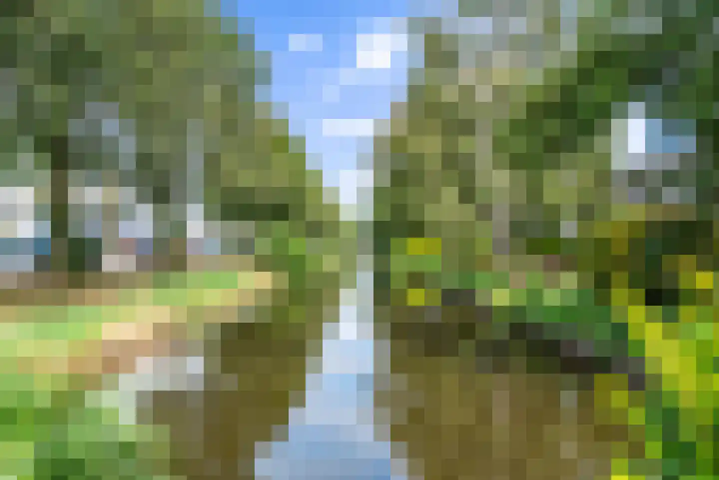 Zwanebloemplantsoen 24 Velserbroek thumbnail 51