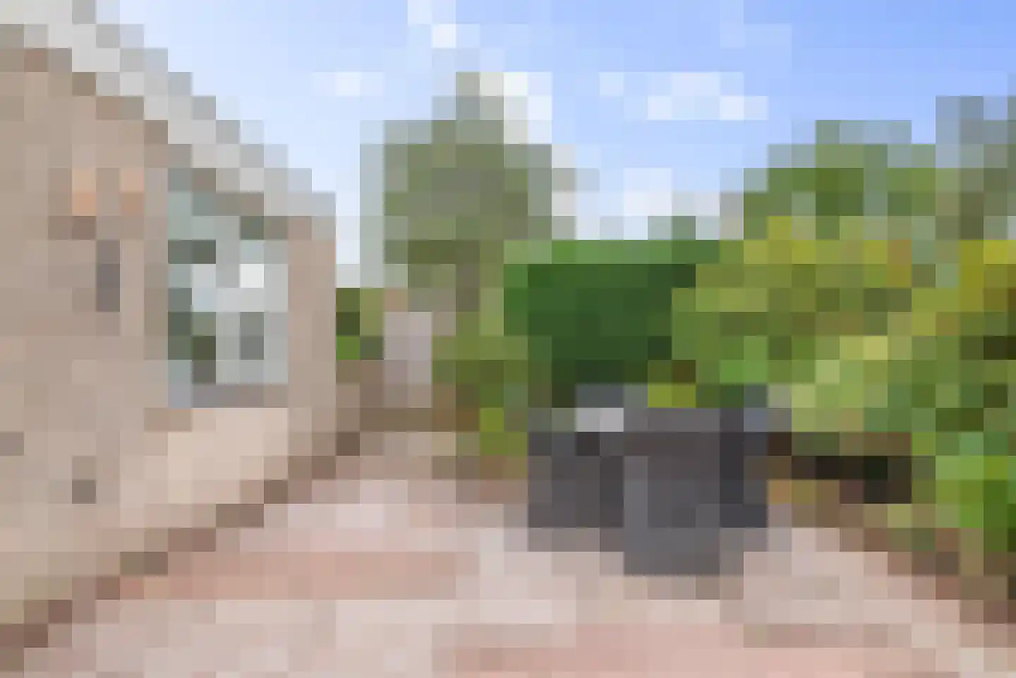 Zwanebloemplantsoen 24 Velserbroek thumbnail 9