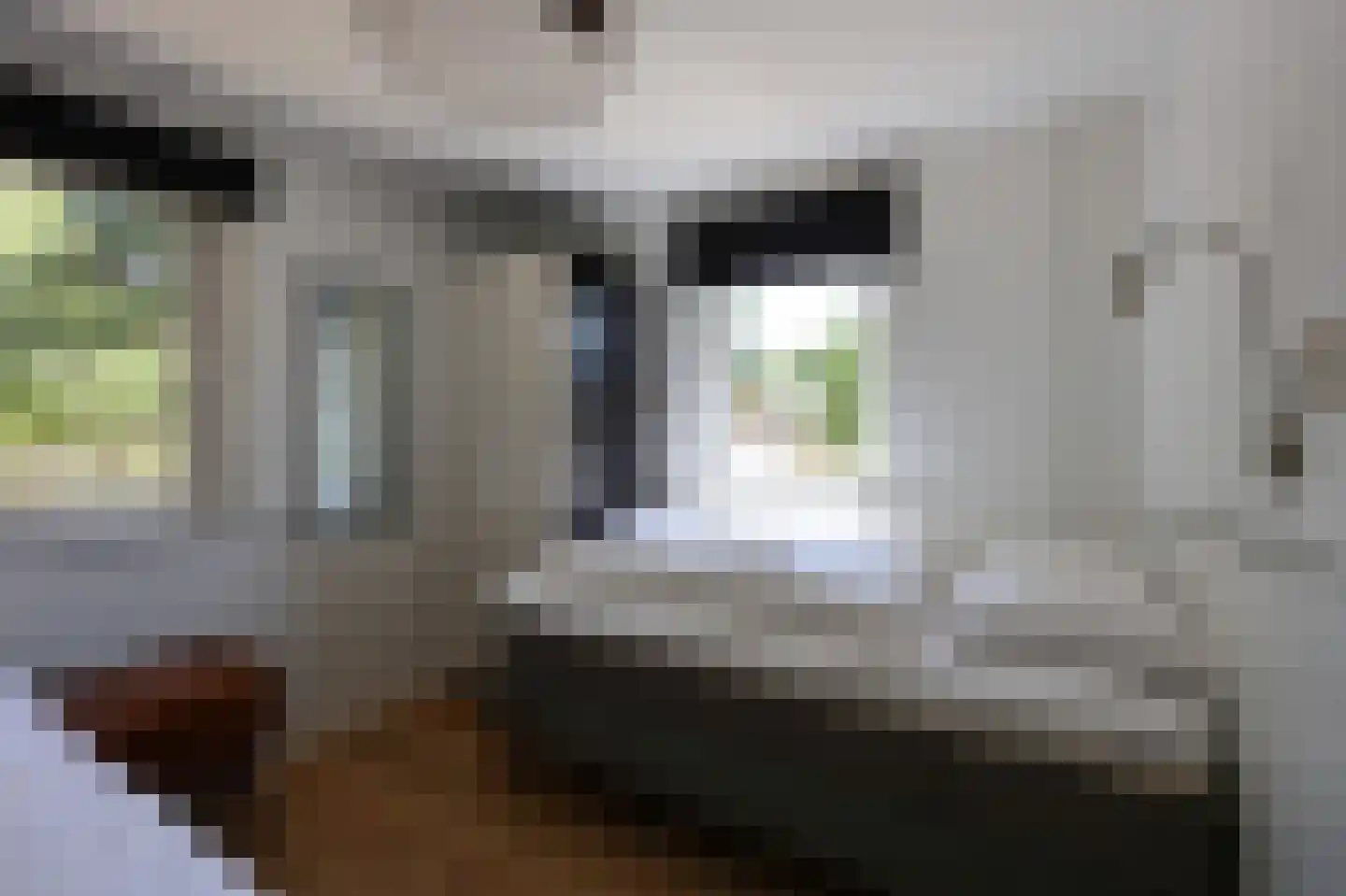 Zwanebloemskant 372 Ballum thumbnail 10