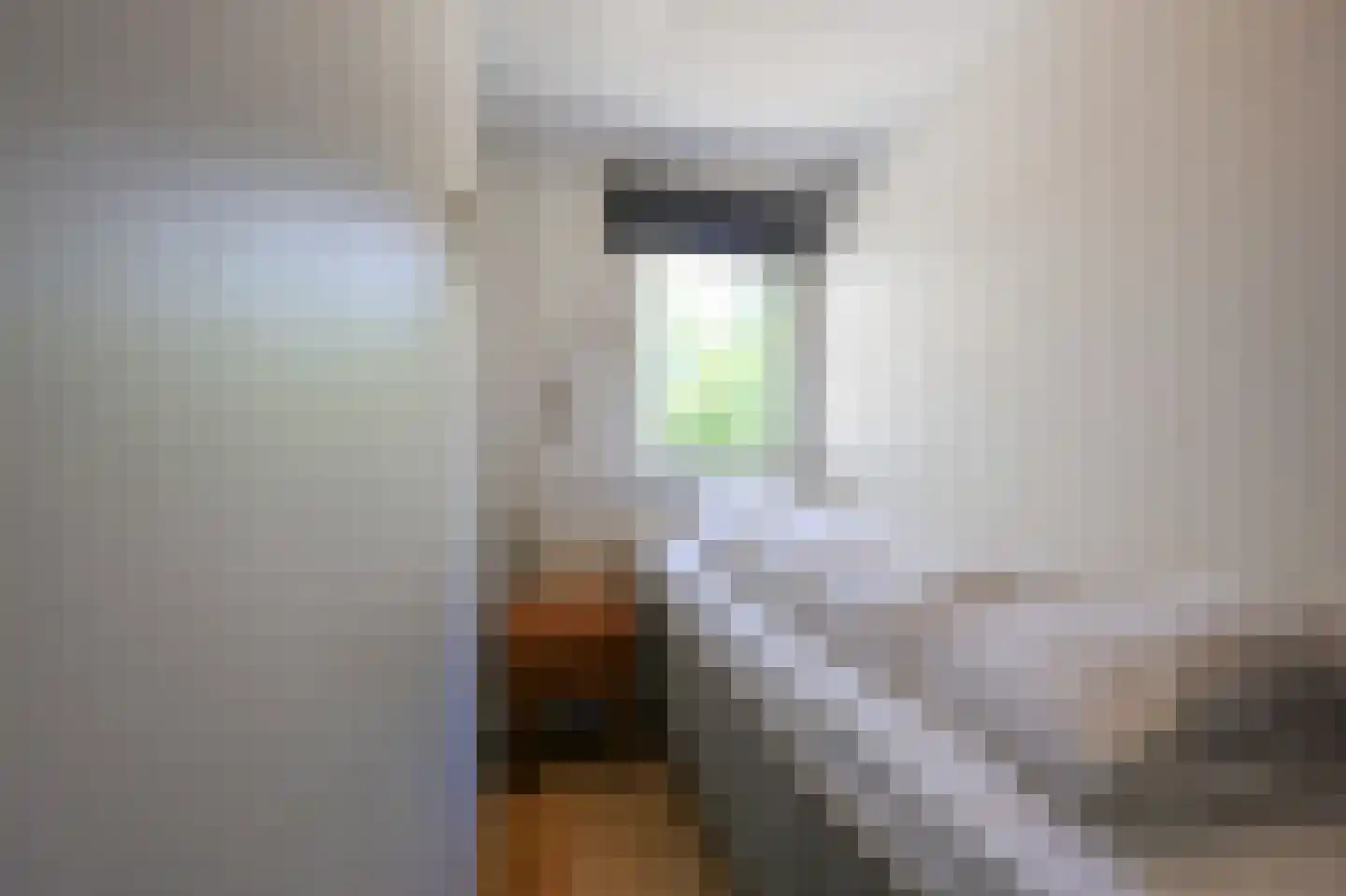 Zwanebloemskant 372 Ballum thumbnail 12