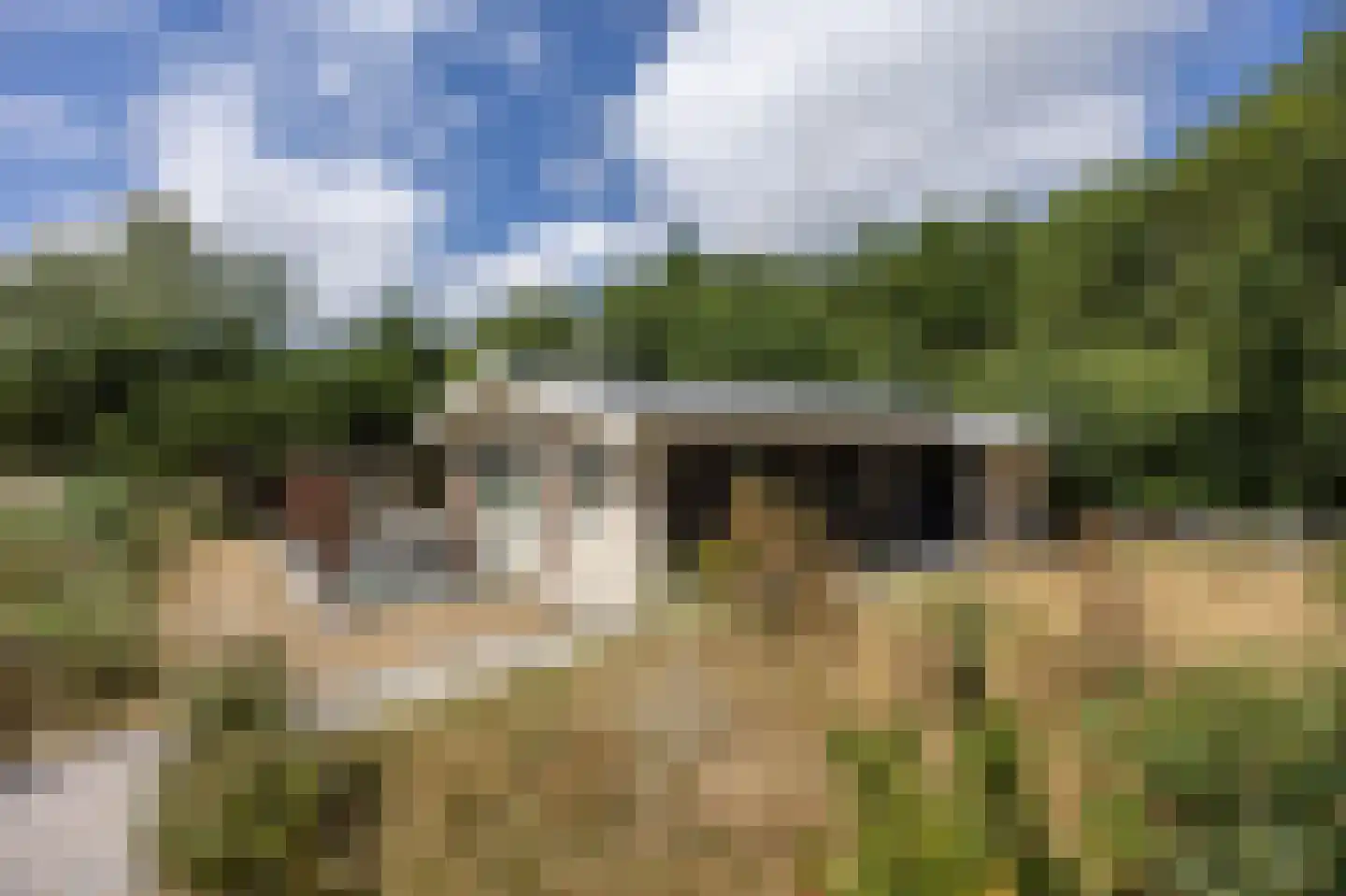 Zwanebloemskant 372 Ballum thumbnail 17