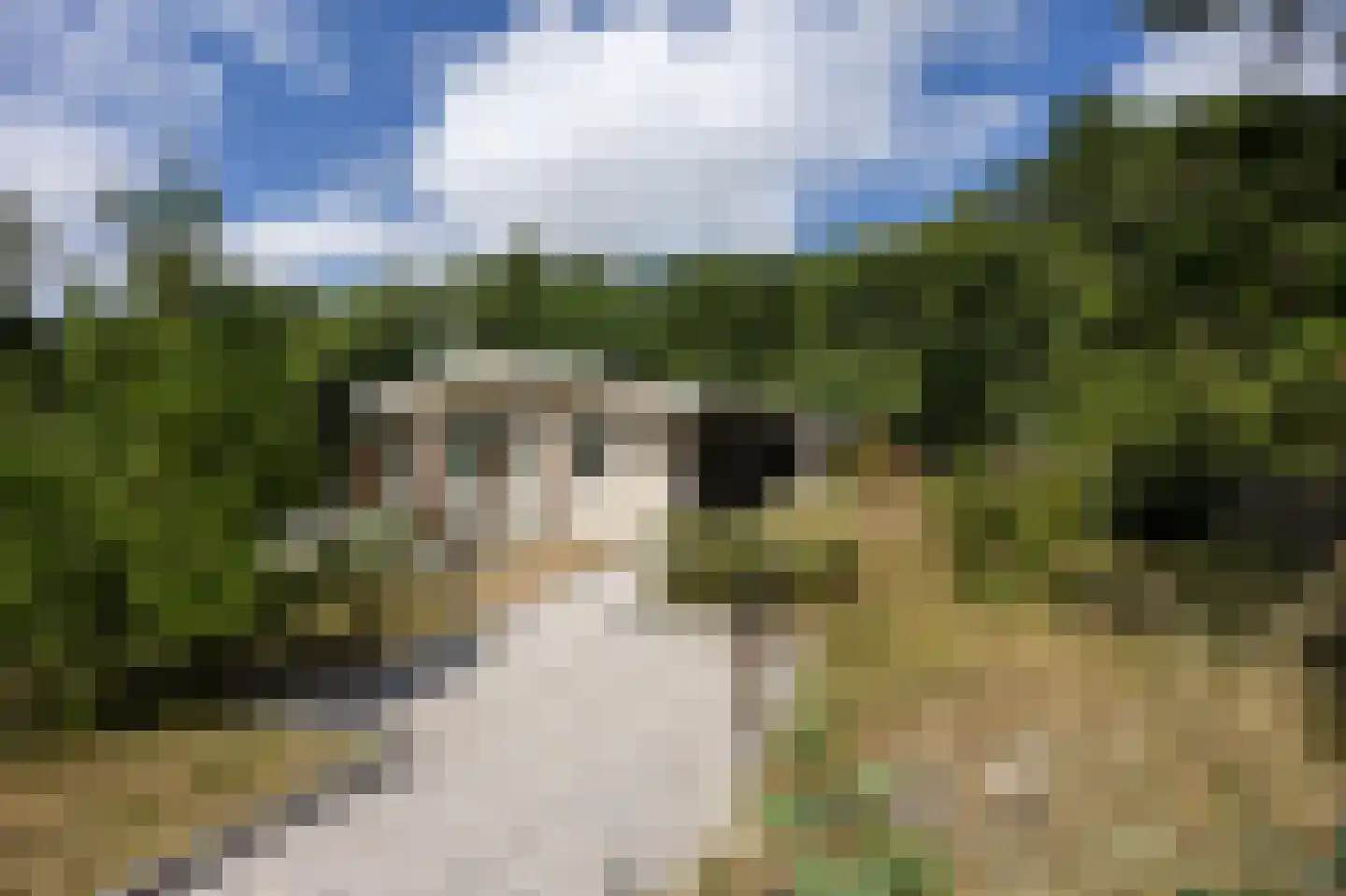 Zwanebloemskant 372 Ballum thumbnail 18