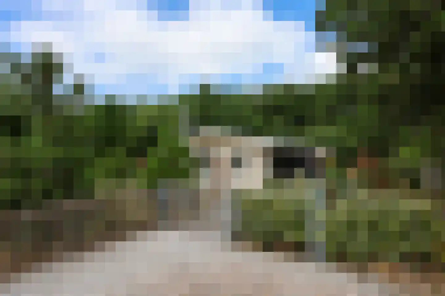 Zwanebloemskant 372 Ballum thumbnail 19