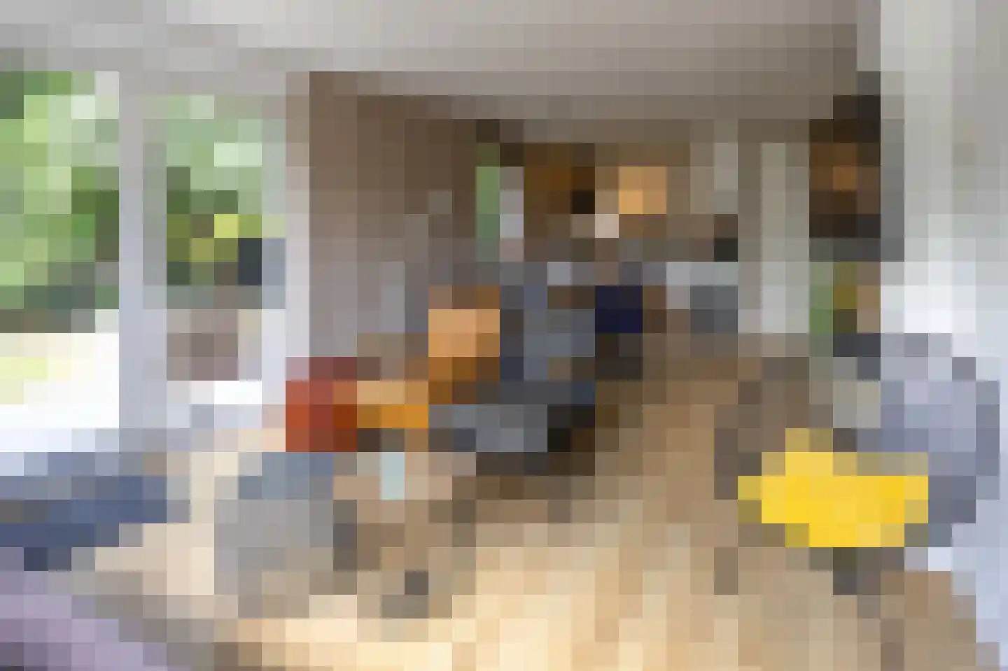 Zwanebloemskant 372 Ballum thumbnail 7