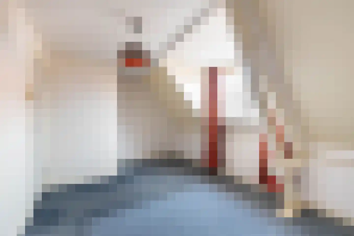Zwanebloemstraat 10 Almelo thumbnail 13