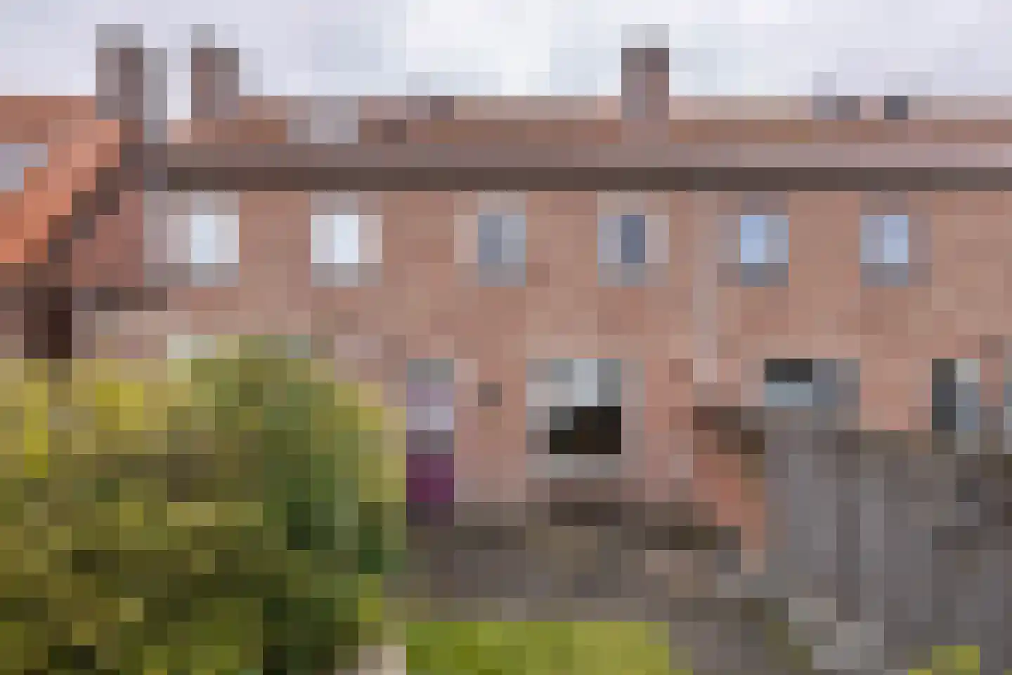 Zwanebloemstraat 10 Almelo thumbnail 18