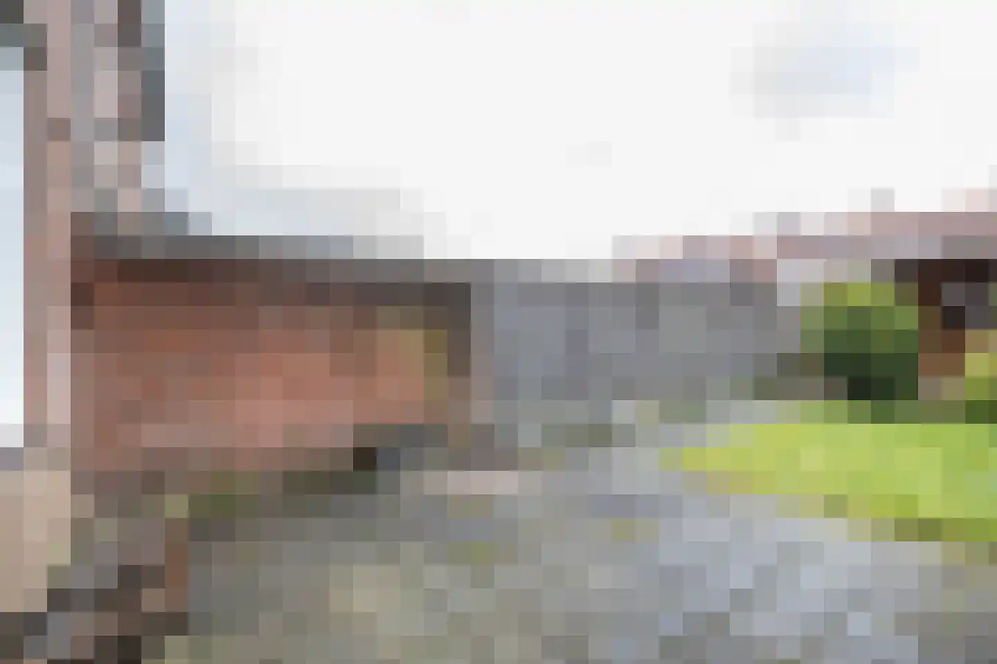 Zwanebloemstraat 10 Almelo thumbnail 19