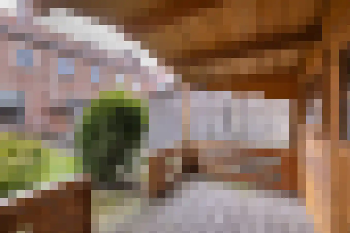 Zwanebloemstraat 10 Almelo thumbnail 21