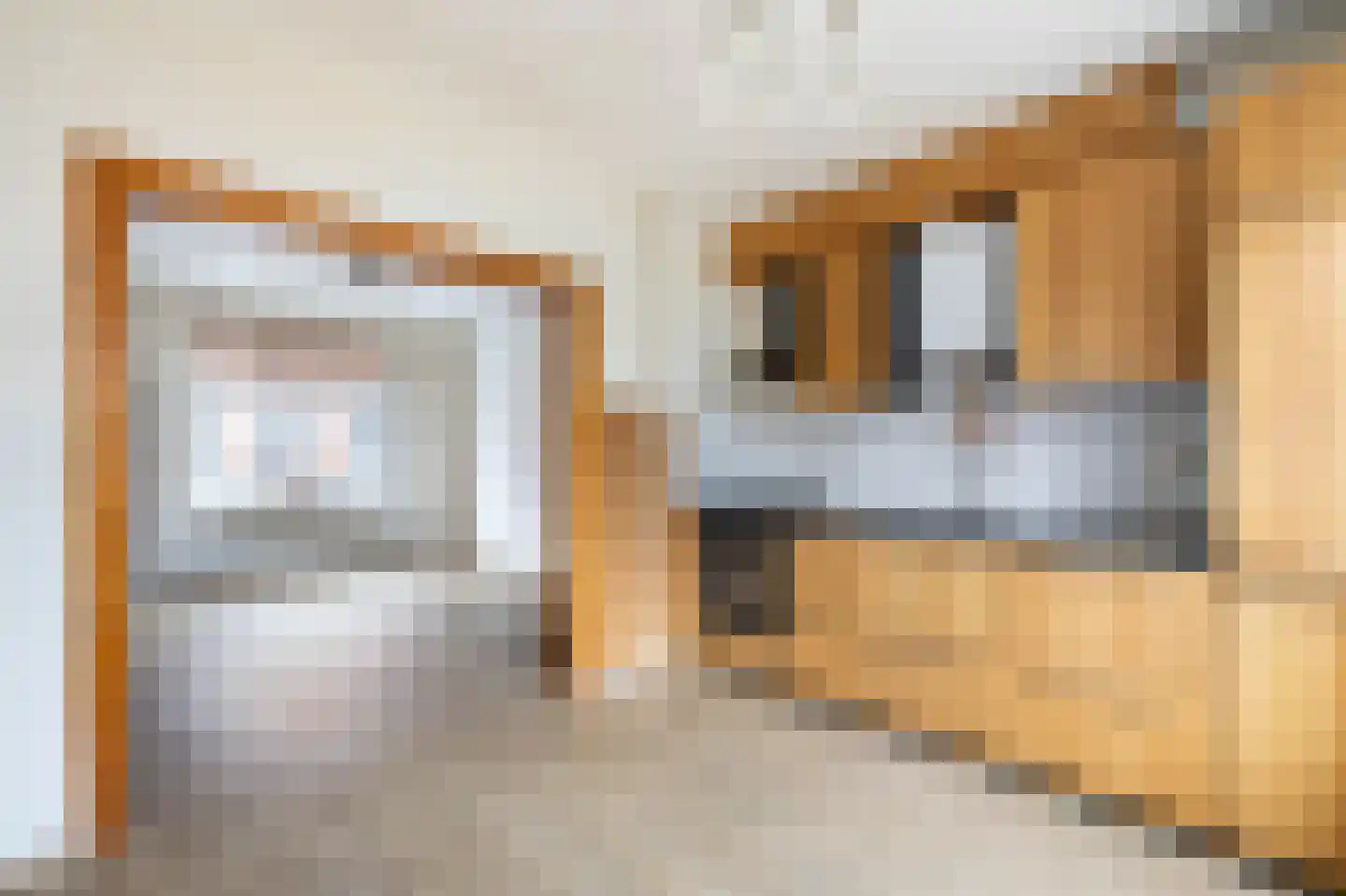 Zwanebloemstraat 10 Almelo thumbnail 9