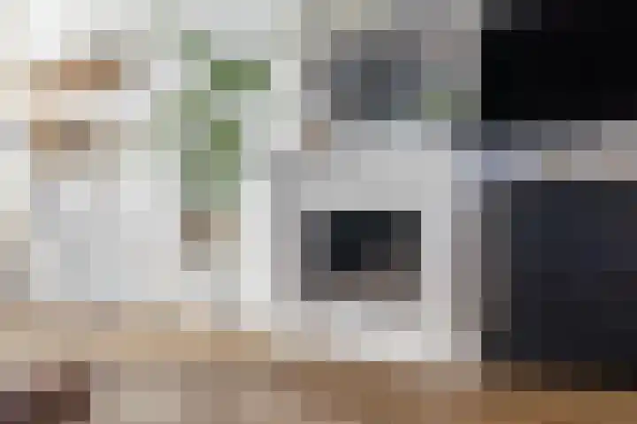 Zwanebloemstraat 11 Almelo thumbnail 12