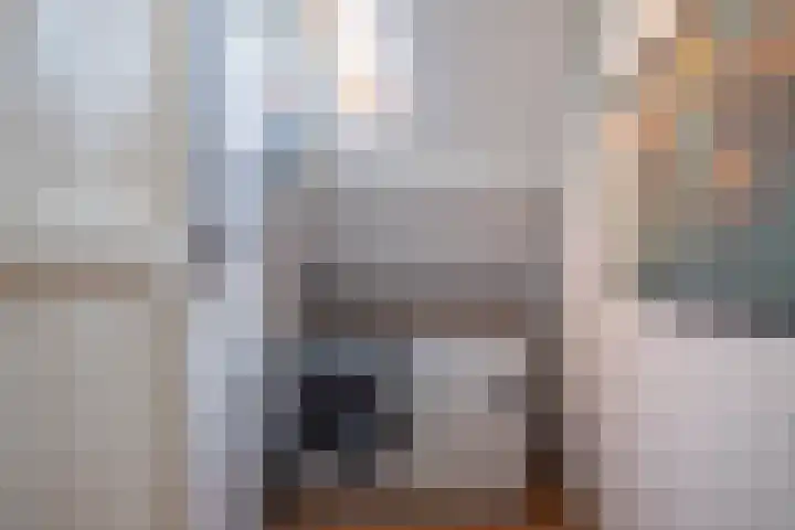 Zwanebloemstraat 11 Almelo thumbnail 20