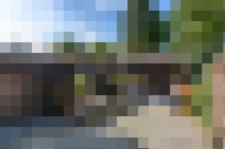 Zwanebloemstraat 11 Almelo thumbnail 24