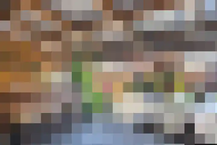 Zwanebloemstraat 11 Almelo thumbnail 26