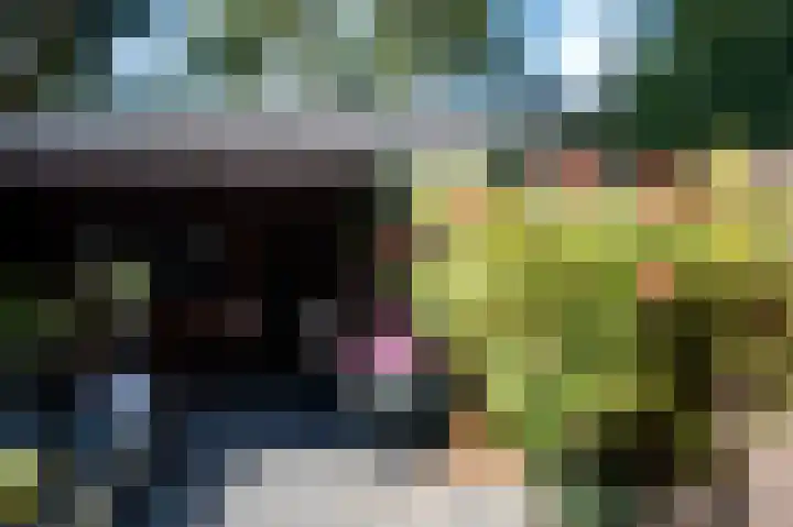 Zwanebloemstraat 11 Almelo thumbnail 28