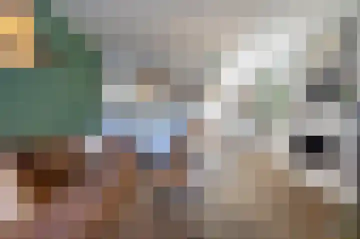 Zwanebloemstraat 11 Almelo thumbnail 8