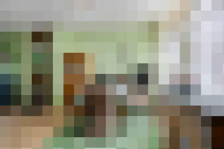 Zwanebloemstraat 17 Groningen thumbnail 15