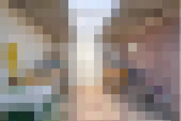 Zwanebloemstraat 17 Groningen thumbnail 30