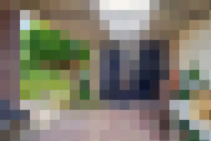 Zwanebloemstraat 17 Groningen thumbnail 31