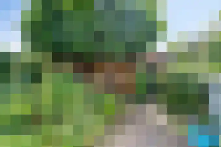 Zwanebloemstraat 17 Groningen thumbnail 32