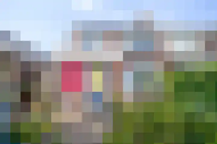 Zwanebloemstraat 17 Groningen thumbnail 34