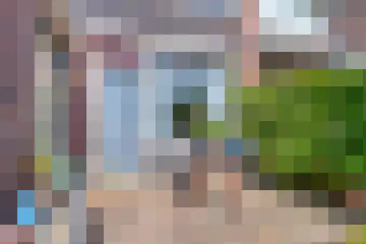 Zwanebloemstraat 17 Groningen thumbnail 35
