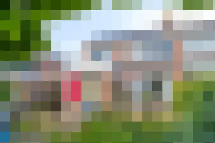 Zwanebloemstraat 17 Groningen thumbnail 37
