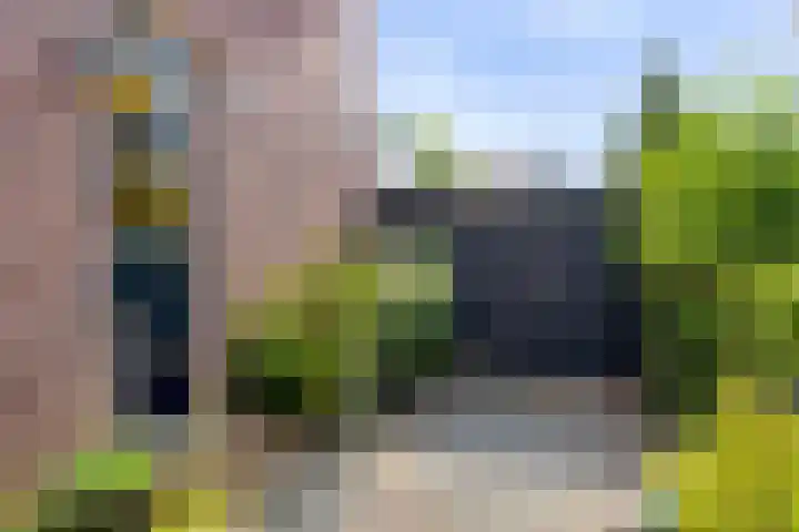 Zwanebloemstraat 17 Groningen thumbnail 38