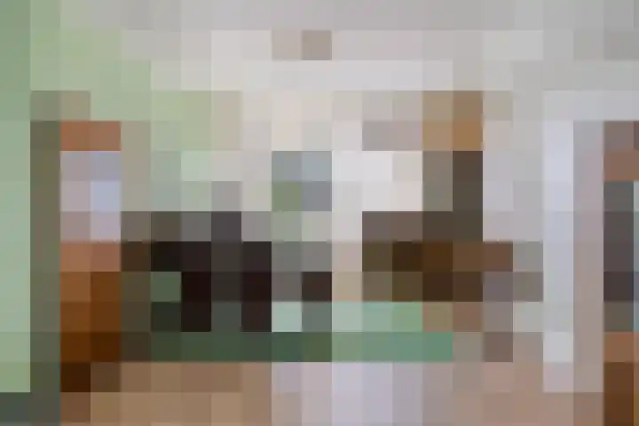 Zwanebloemstraat 17 Groningen thumbnail 9
