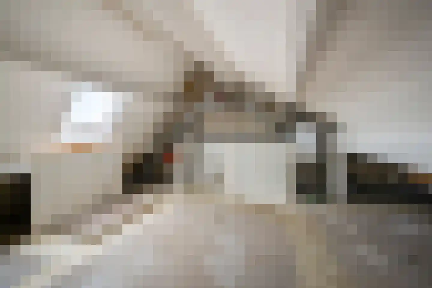 Zwanebloemstraat 23 Voorhout thumbnail 26