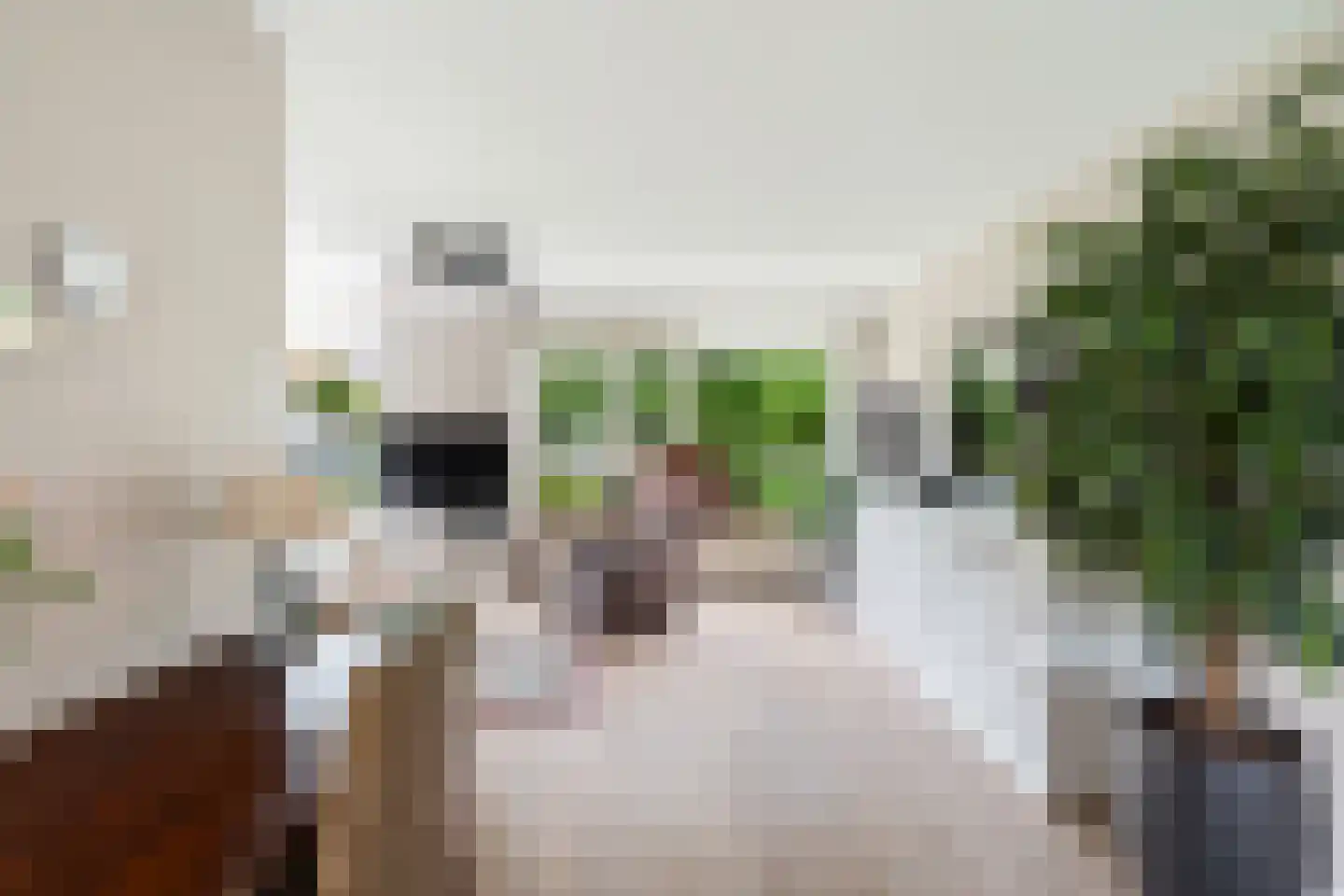 Zwanebloemstraat 28 Berkel en Rodenrijs thumbnail 13