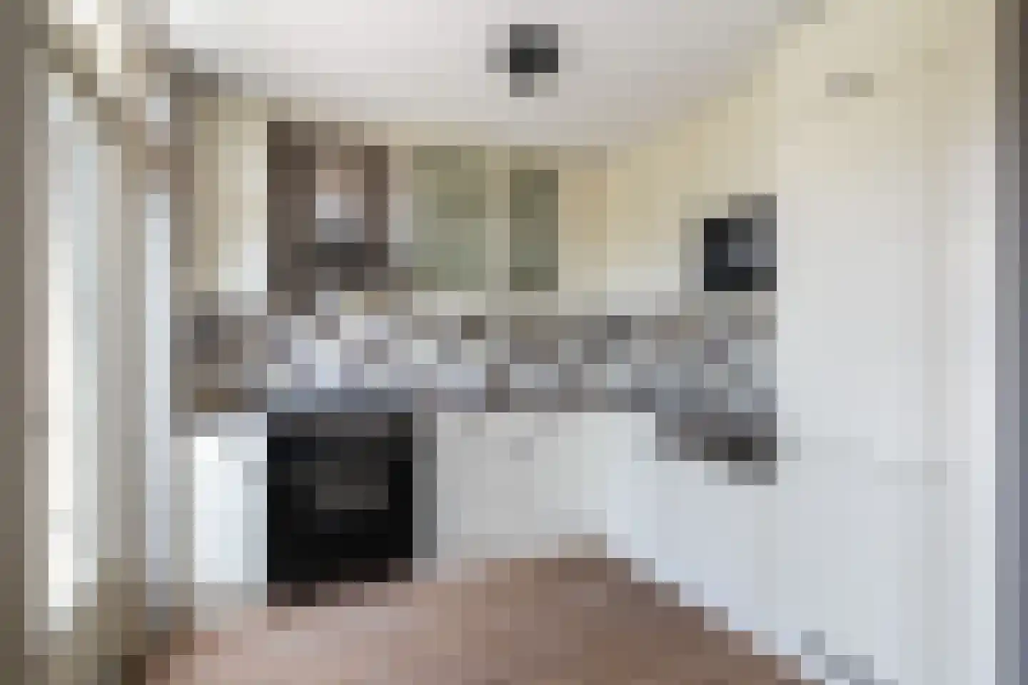 Zwanebloemstraat 28 Berkel en Rodenrijs thumbnail 21