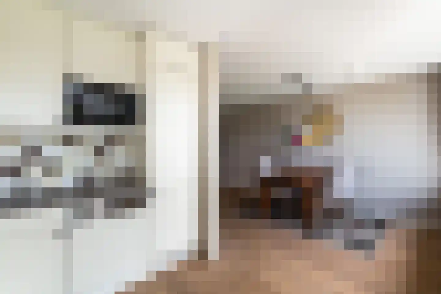 Zwanebloemstraat 28 Berkel en Rodenrijs thumbnail 23