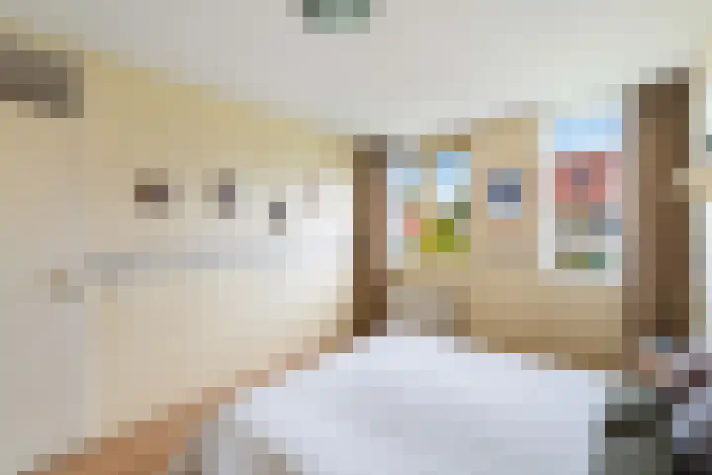 Zwanebloemstraat 28 Berkel en Rodenrijs thumbnail 26