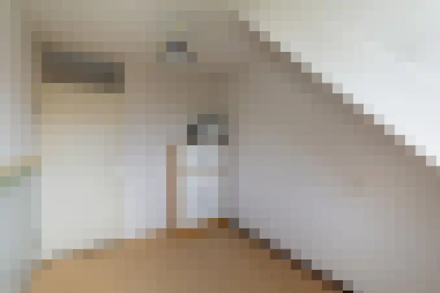 Zwanebloemstraat 28 Berkel en Rodenrijs thumbnail 32
