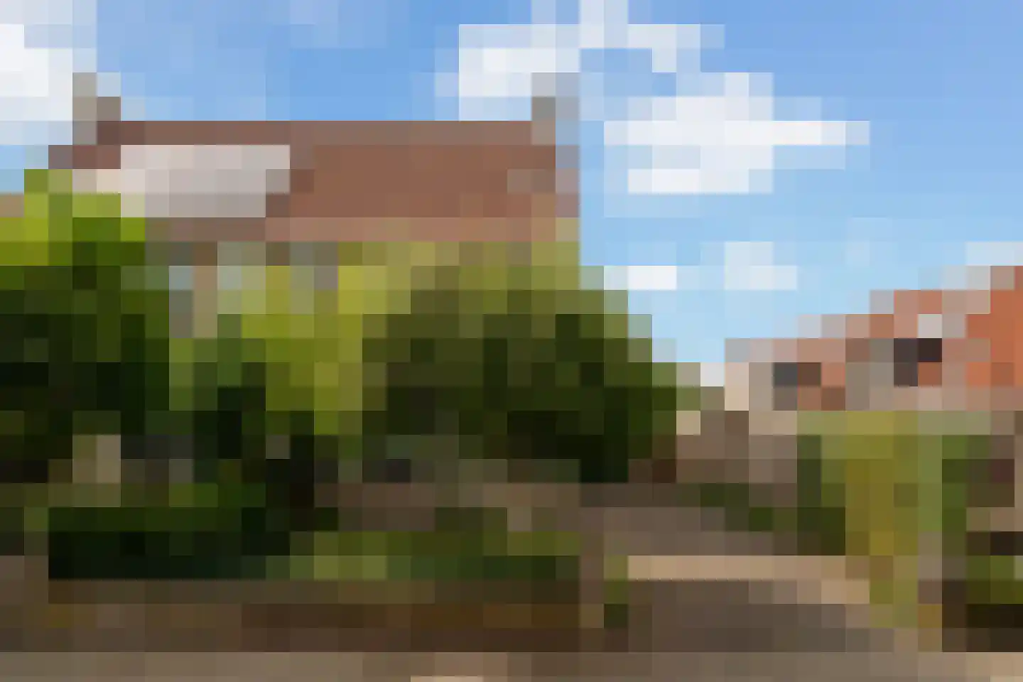 Zwanebloemstraat 28 Berkel en Rodenrijs thumbnail 4